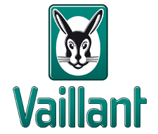 Vaillant Saint-Dié-des-Vosges